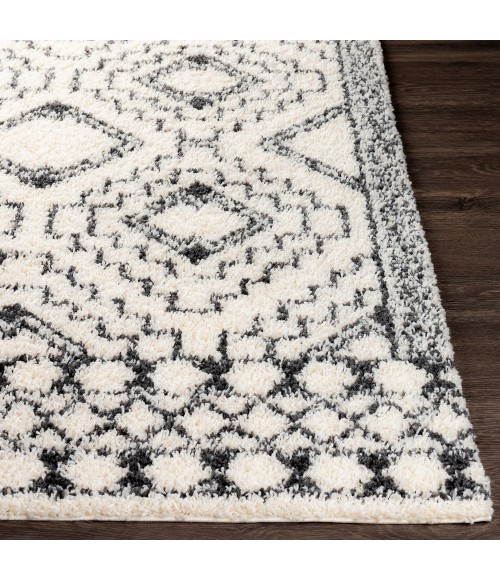 BENI SHAG RUG Livabliss Beni shag BSH-2300 5 3 x 7 Rug