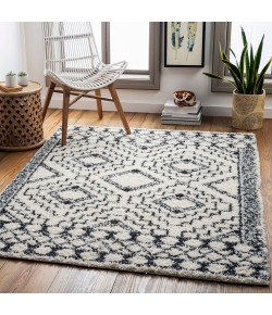 Livabliss Beni Shag BSH2300 Multi Area Rug 5 ft. 3 in. X 7 ft. Rectangle