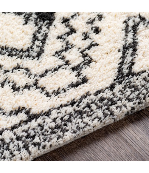 BENI SHAG RUG Livabliss Beni shag BSH-2300 5 3 x 7 Rug