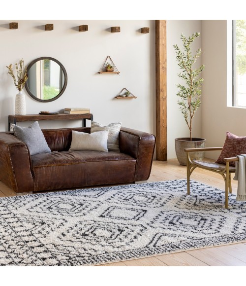 BENI SHAG RUG Livabliss Beni shag BSH-2300 5 3 x 7 Rug