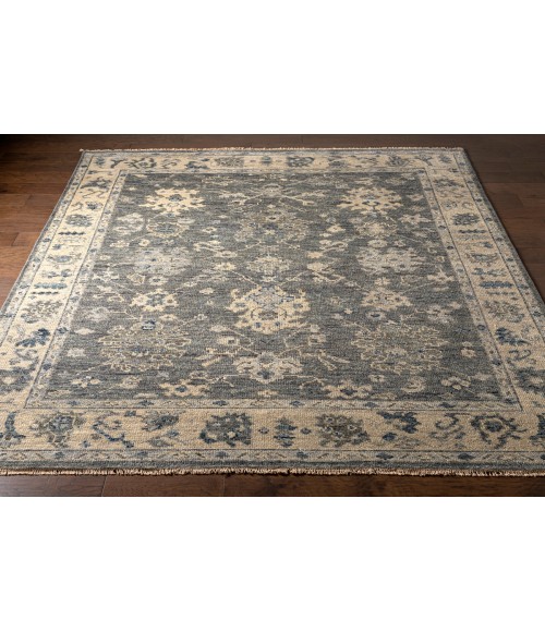 Surya Biscayne BSY-2307 2  x 3  Rug