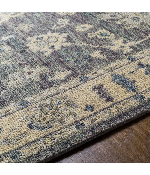 Surya Biscayne BSY-2307 2  x 3  Rug