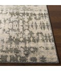Surya Biscayne BSY-2309 2  x 3  Rug