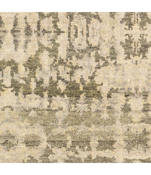 Surya Biscayne BSY-2309 2  x 3  Rug