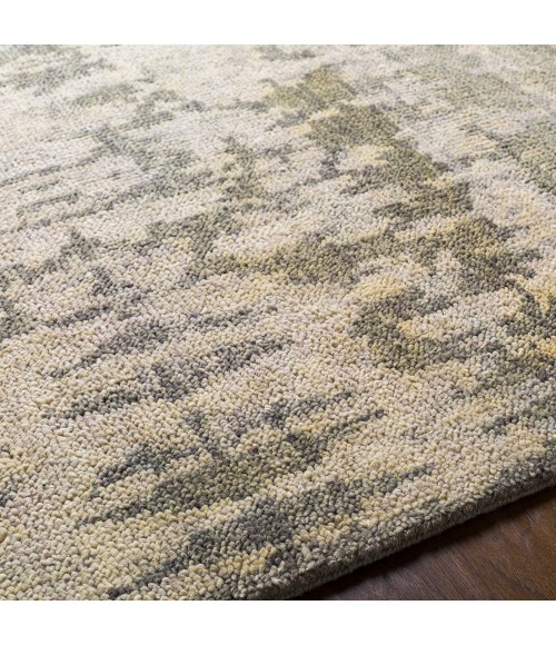 Surya Biscayne BSY-2309 2  x 3  Rug
