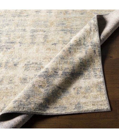 Surya Biscayne BSY-2310 2  x 3  Rug