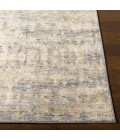 Surya Biscayne BSY-2310 2  x 3  Rug