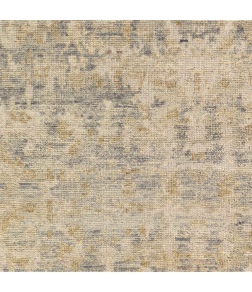 Surya Biscayne BSY-2310 2  x 3  Rug