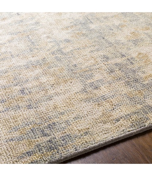 Surya Biscayne BSY-2310 2  x 3  Rug