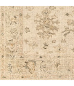 Surya Biscayne BSY2312 Light Beige Medium Gray Area Rug 2 ft. X 3 ft. Rectangle