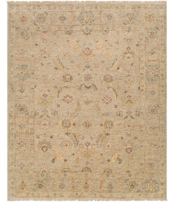 Surya Biscayne BSY2317 Ivory Beige Area Rug 2 ft. X 3 ft. Rectangle