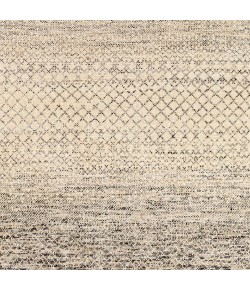 Surya Bethesda BTD2303 Charcoal Medium Gray Area Rug 9 ft. X 12 ft. Rectangle