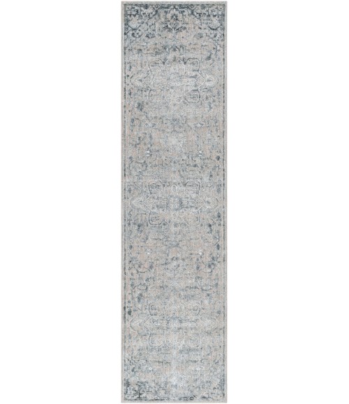 Surya Brunswick BWK-2310 2 7 x 10  Rug