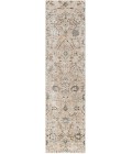 Surya Brunswick BWK-2311 2 7 x 10  Rug