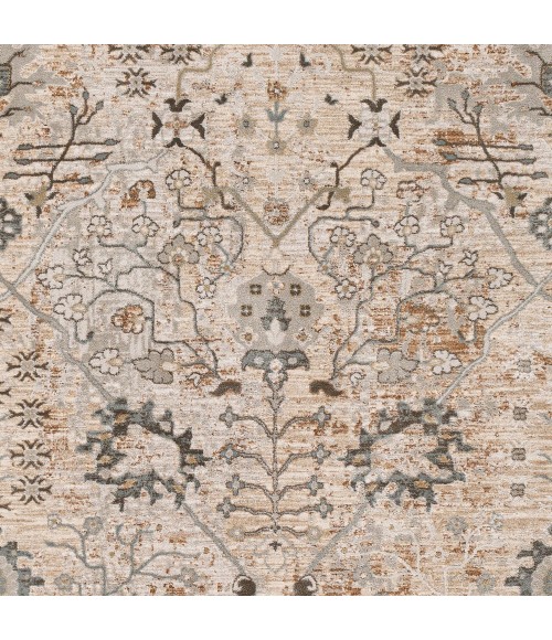 Surya Brunswick BWK-2311 2 7 x 4  Rug