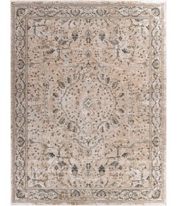 Livabliss Brunswick BWK2312 Ivory Beige Area Rug 7 ft. 10 in. X 10 ft. 3 in. Rectangle