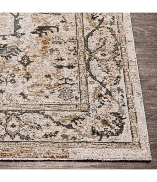 Surya Brunswick BWK-2312 9  x 12 2 Rug