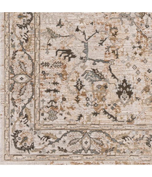 Surya Brunswick BWK-2312 9  x 12 2 Rug