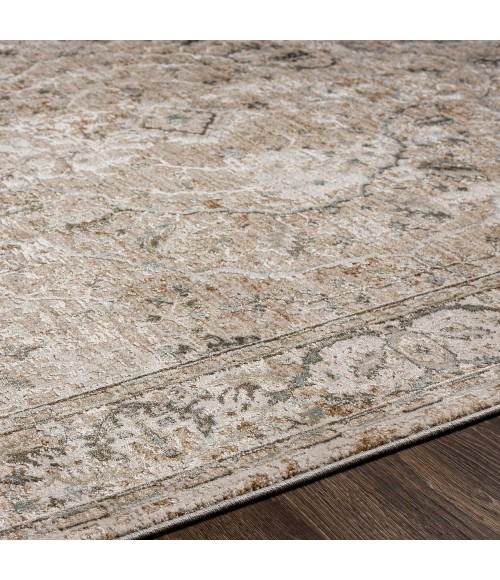 Surya Brunswick BWK-2312 9  x 12 2 Rug