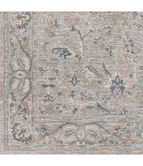 Surya Brunswick BWK-2313 2 7 x 10  Rug