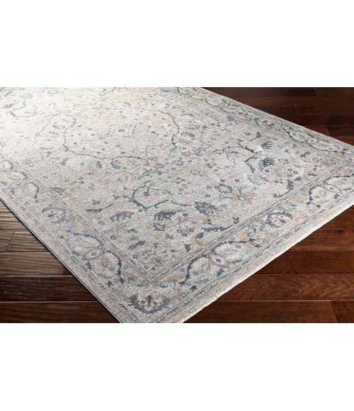 Surya Brunswick BWK-2314 9  x 12 2 Rug