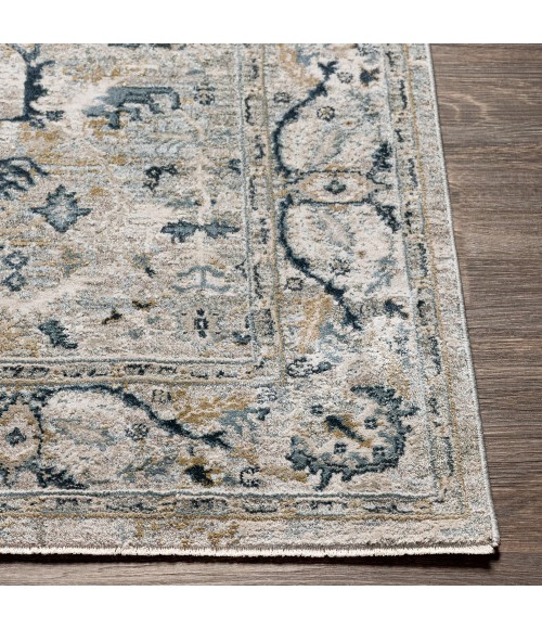 Surya Brunswick BWK-2314 9  x 12 2 Rug