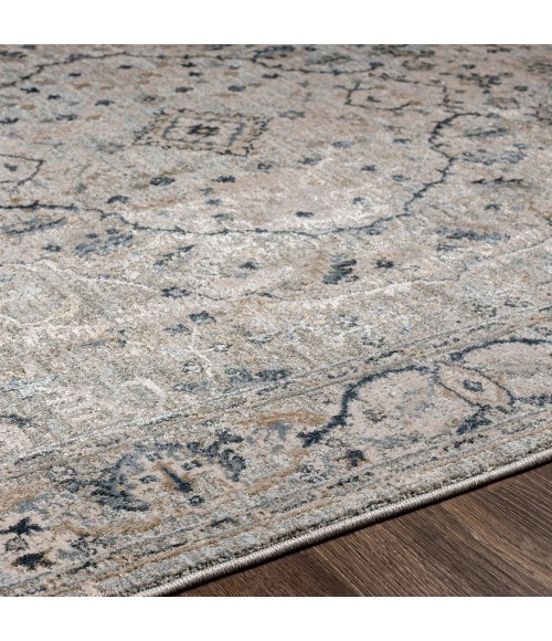 Surya Brunswick BWK-2314 9  x 12 2 Rug