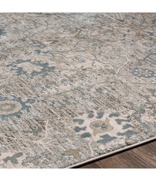 Surya Brunswick BWK-2315 5  x 7 5 Rug