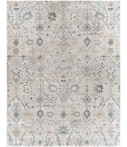 Livabliss Brunswick BWK2316 Sage Khaki Area Rug 7 ft. 10 in. X 10 ft. 3 in. Rectangle