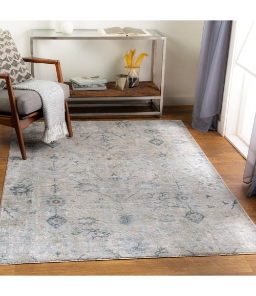 Surya Brunswick BWK-2316 2 7 x 10  Rug
