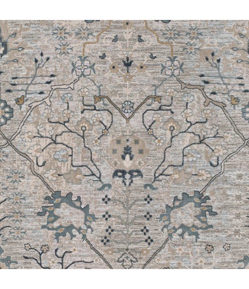 Surya Brunswick BWK-2316 10  x 14  Rug