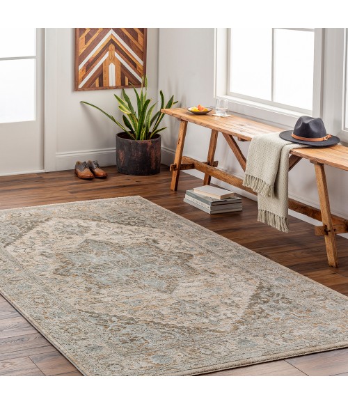 Brunswick Rug Surya Brunswick Rug BWK2320