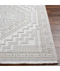 Surya Broadway Rug BWY2300