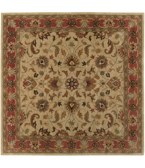 Surya Caesar CAE-1001-10x14 rug