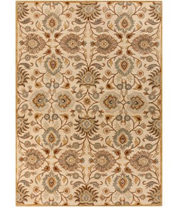 Surya Caesar CAE1012 Medium Gray Beige Area Rug 10 ft. X 14 ft. Rectangle