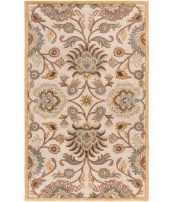 Surya Caesar CAE1012 Medium Gray Beige Area Rug 5 ft. X 8 ft. Rectangle