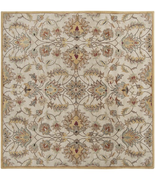 Surya Caesar CAE-1029-6x9OVAL rug