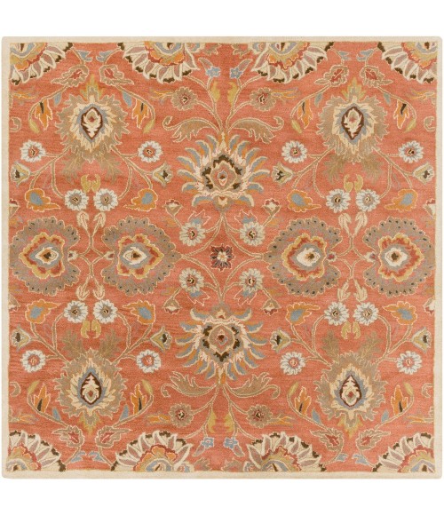 Livabliss Caesar CAE-1107-8SQUARE rug
