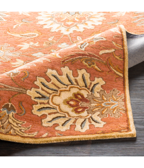 CAESAR RUG Surya Caesar CAE-1112-24Hearth