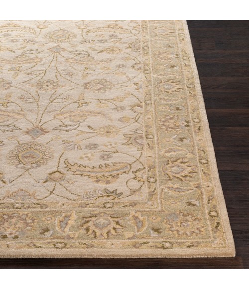 Surya Caesar CAE-1114-10x14 rug