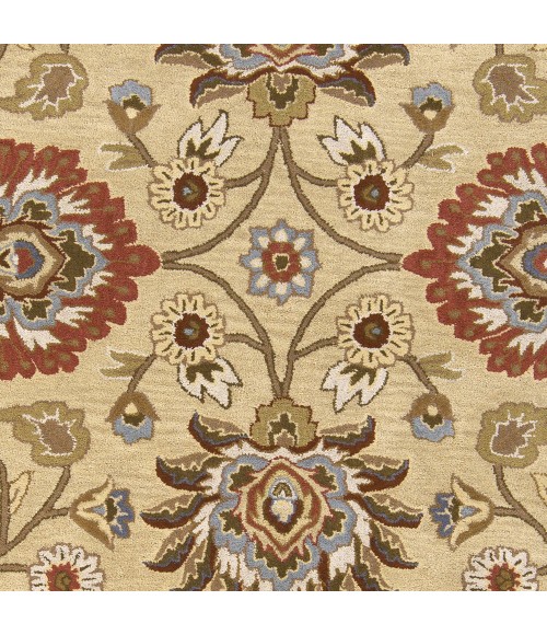 Livabliss Caesar CAE-1116-8x10OVAL rug