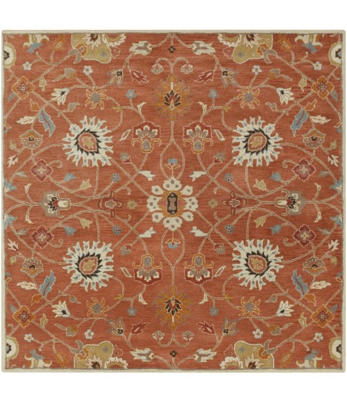 Livabliss Caesar CAE-1119-99SQUARE rug