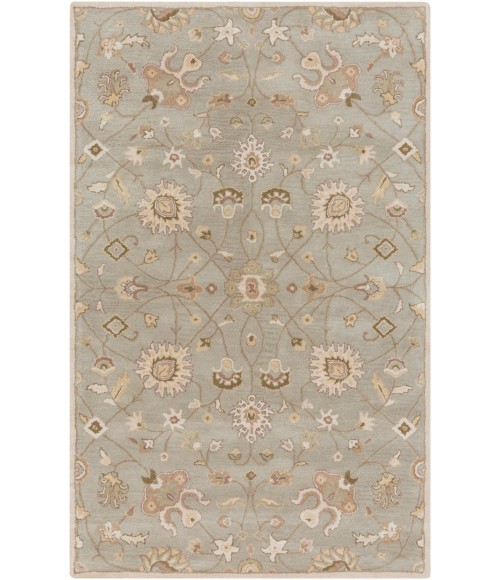 Livabliss Caesar CAE-1121-10x14 rug