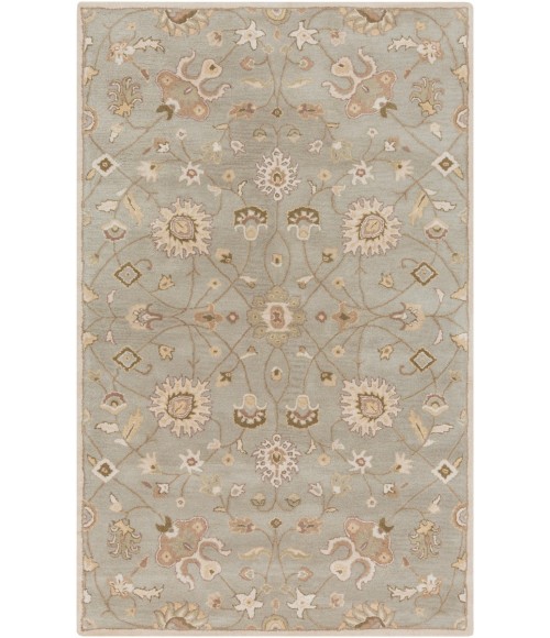 Surya Caesar CAE-1121-12x15 rug