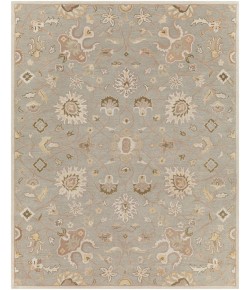 Livabliss Caesar CAE1121 Khaki Medium Gray Area Rug 7 ft. 6 in. X 9 ft. 6 in. Rectangle