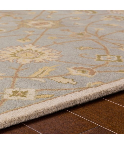 Surya Caesar CAE-1121-2x3 rug