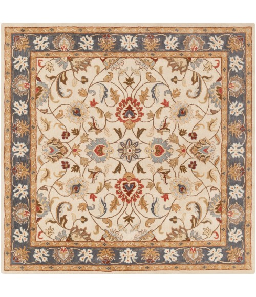 Surya Caesar CAE-1125-6SQUARE rug