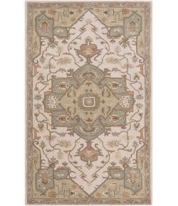 Livabliss Caesar CAE1143 Khaki Medium Gray Area Rug 4 ft. X 6 ft. Rectangle