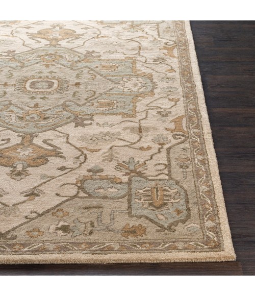 Surya Caesar CAE-1143-6x9OVAL rug