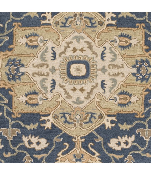 Livabliss Caesar CAE-1145-6x9OVAL rug